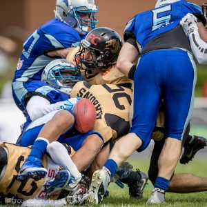 Albershausen Crusaders – Giessen Golden Dragons Albershausen Crusaders - Giessen Golden Dragons