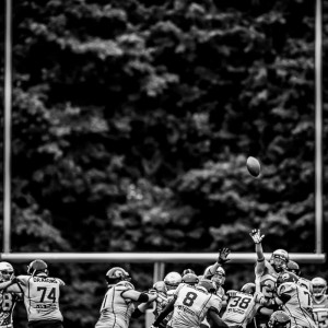Albershausen Crusaders – Giessen Golden Dragons Albershausen Crusaders - Giessen Golden Dragons