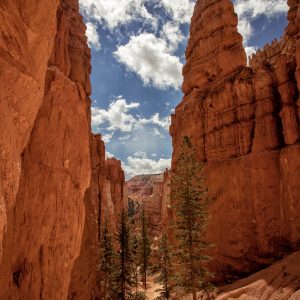 Auf dem Navajo Loop Trail im Bryce Canyon National Park
