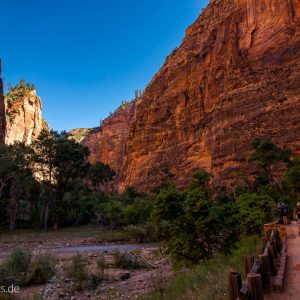 Auf dem Riverside Walk im Zion Canyon National Park-4 Auf dem Riverside Walk im Zion Canyon National Park-4