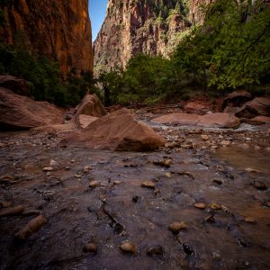Auf dem Riverside Walk im Zion Canyon National Park-7 Auf dem Riverside Walk im Zion Canyon National Park-7