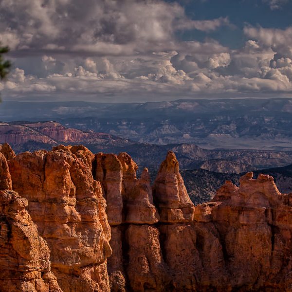 Black Birch Canyon im Bryce Canyon