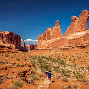Blick vom Park Avenue Overview im Arches Nationalpark Blick vom Park Avenue Overview im Arches Nationalpark