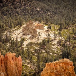 Blick vom Ponderosa Point im Bryce Canyon