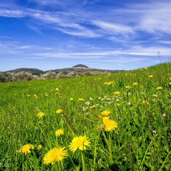 Der Hohenstaufen im Fruehjahr 2015 Der Hohenstaufen im Fruehjahr 2015