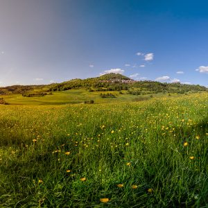Der Hohenstaufen im Fruehjahr 2015 Der Hohenstaufen im Fruehjahr 2015