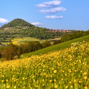 Der Hohenstaufen im Fruehjahr 2015 Der Hohenstaufen im Fruehjahr 2015