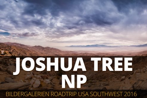 Bildergalerien aus dem Joshua Tree Nationalpark und aus Pioneertown