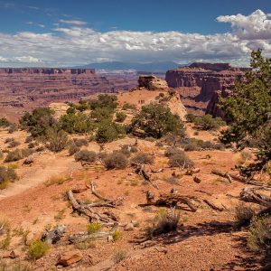 Der Shafer Canyon Overlook im Canyonlands Nationalpark Der Shafer Canyon Overlook im Canyonlands Nationalpark