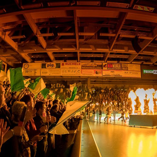 Einlaufchoreo FRISCH AUF Goeppingen – Rhein-Neckar Loewen Einlaufchoreo FRISCH AUF Goeppingen - Rhein-Neckar Loewen