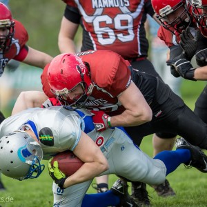 Kuchen Mammuts - Albershausen Crusaders