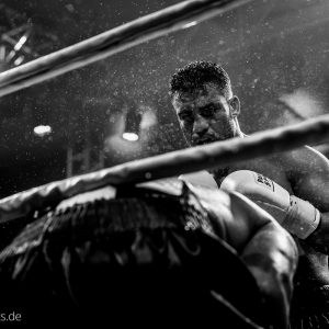 Manuel Charr gegen Sefer Seferi Manuel Charr gegen Sefer Seferi
