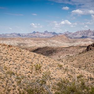 Mount Nutt Wilderness Area