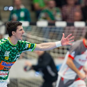 Nemanja Zelenovic Nemanja Zelenovic