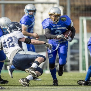 Albershausen Crusaders – Weinheim Longhorns; American Football Oberliga 2013 Albershausen Crusaders - Weinheim Longhorns; American Football Oberliga 2013