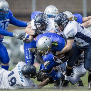 Albershausen Crusaders – Weinheim Longhorns; American Football Oberliga 2013 Albershausen Crusaders - Weinheim Longhorns; American Football Oberliga 2013