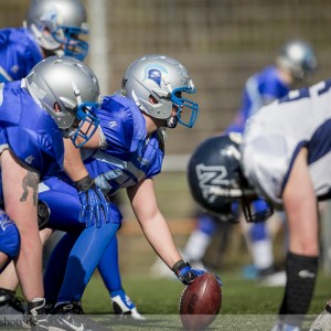 Albershausen Crusaders – Weinheim Longhorns; American Football Oberliga 2013 Albershausen Crusaders - Weinheim Longhorns; American Football Oberliga 2013