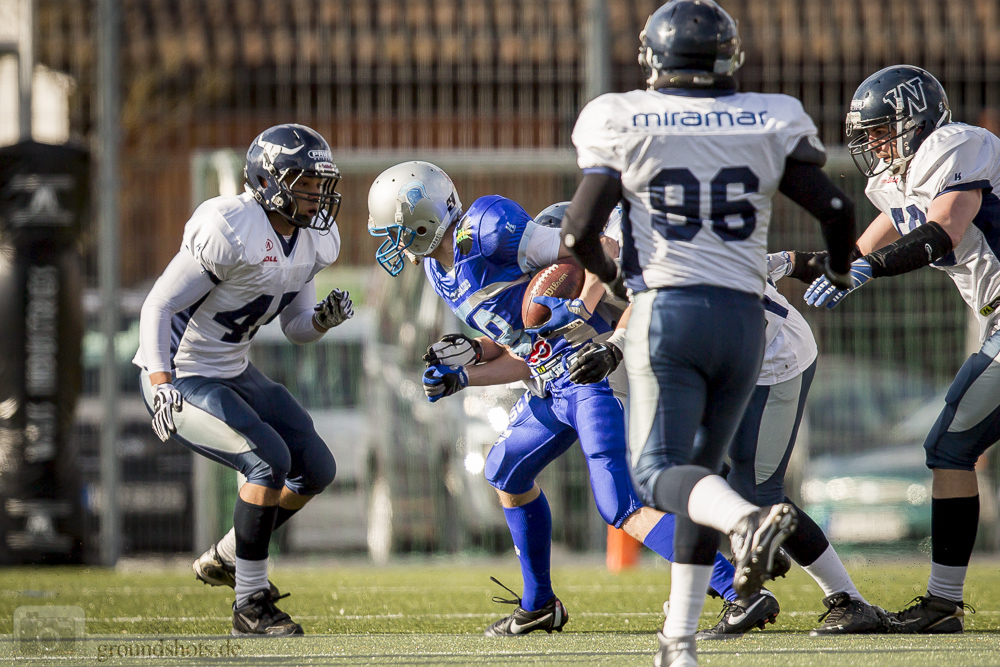 Albershausen Crusaders Weinheim Longhorns Bilder