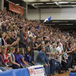 dhb-pokal_tsv_heiningen-rhein_neckar-lawen-18 dhb-pokal_tsv_heiningen-rhein_neckar-lawen-18