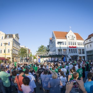 ehf-pokal_frisch_auf_goeppingen_feier_rathaus-41