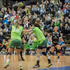 frisch_auf_frauen-bad_wildungen_vipers-10