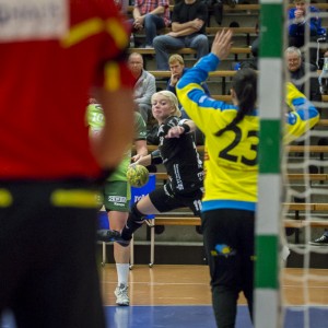 frisch_auf_frauen-bad_wildungen_vipers-12