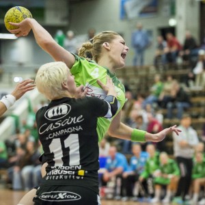 frisch_auf_frauen-bad_wildungen_vipers-2