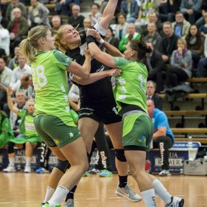 frisch_auf_frauen-bad_wildungen_vipers-8