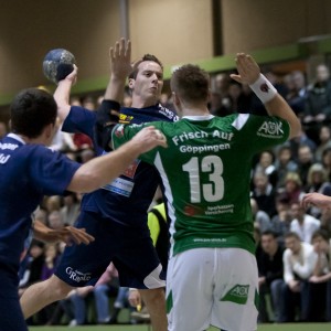 heingen-frischaufii-2