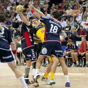 lufthansa_final4_flensburg-rhein-neckar-loewen-5 lufthansa_final4_flensburg-rhein-neckar-loewen-5