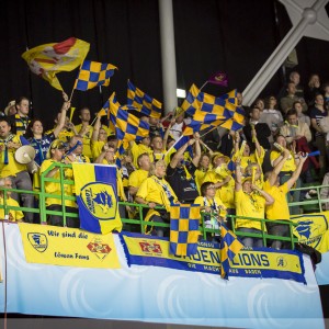 Rhein-Neckar Loewen EHF-Cup Sieger 2013, Nantes Rhein-Neckar Loewen EHF-Cup Sieger 2013, Nantes