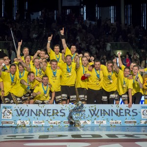 Rhein-Neckar Loewen EHF-Cup Sieger 2013, Nantes Rhein-Neckar Loewen EHF-Cup Sieger 2013, Nantes