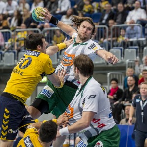 rhein-neckar-loewen_frisch_auf_goeppingen-12