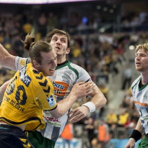 rhein-neckar-loewen_frisch_auf_goeppingen-14