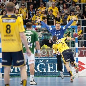 rhein_neckar_loewen-frischauf_goeppingen-30 rhein_neckar_loewen-frischauf_goeppingen-30