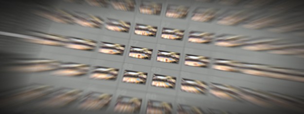 Timelapse Handball Timelapse Handball