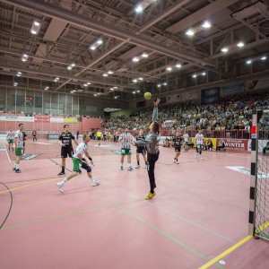 tv_neuhausen-frisch_auf_goeppingen-18